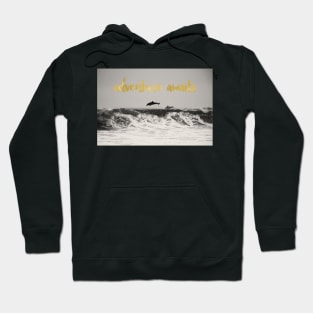 Dolphins Adventure Awaits Hoodie